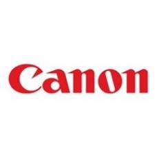 Canon iPF PRO2000/4000/4000S/6000S Cartucho Gris Foto PFI-1300