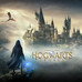 NINTENDO-NS-J HOGWARTS LEG STD