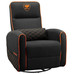 Cougar Sillon Fidom Cougar Sillon Fidom