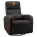 Cougar Sillon Fidom Cougar Sillon Fidom