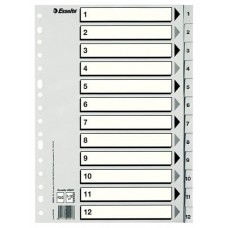 ESSELTE ESSELTE indice numerico 1-12 Esselte multitaladro PP folio gris