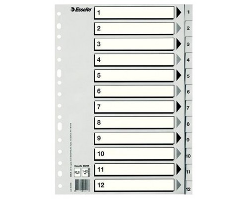 ESSELTE ESSELTE indice numerico 1-12 Esselte multitaladro PP folio gris