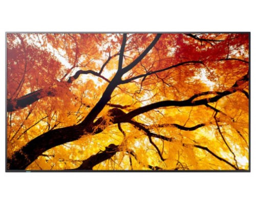 Sharp MultiSync M982 Panel plano interactivo 2,48 m (97.5") LED 550 cd / m&sup2; 4K Ultra HD Negro 24/7 (Espera 4 dias)