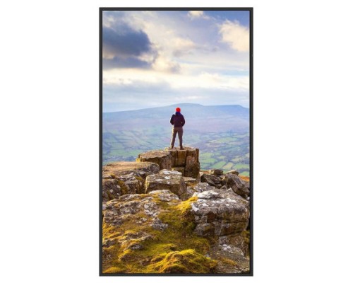 SHARP ESSENTIAL DISPLAYS MODEL PN-E439, 43" E-SERIES LARGE FORMAT DISPLAY, UHD, 350CD/M2, D-LED BACKLIGHT, 16/7 PROOF, USB MEDIAPLAYER   (60006181) (Espera 4 dias)