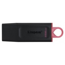 Memoria Usb 256gb Kingston Dtx/256 Usb3.2