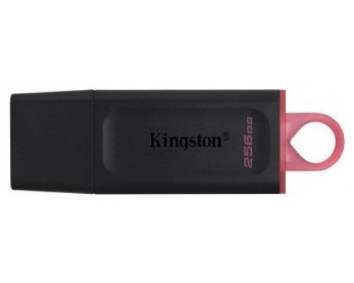 Memoria Usb 256gb Kingston Dtx/256 Usb3.2