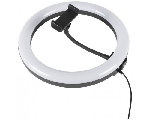 iggual Anillo / aro de luz LED diámetro 10" 26 cm