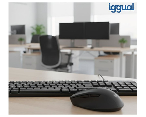 iggual Teclado USB est&aacute;ndar CK-OFFICE-105T negro