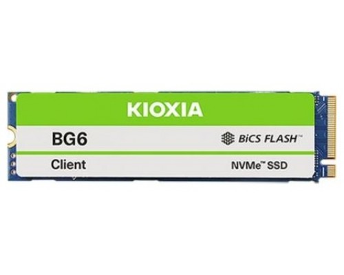KIO-SSD BG60ZNV 256GB