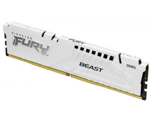 Kingston Technology FURY Beast módulo de memoria 16 GB 1 x 16 GB DDR5 (Espera 4 dias)