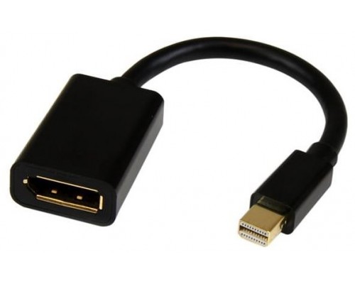 ADAPTADOR STARTECH.COM 15CM MINI DP A DP (Espera 4 dias)