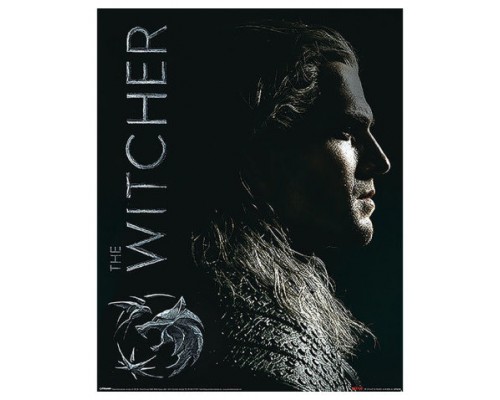 MINI POSTER (SHADOWS EMBRACE) THE WITCHER PYRAMID REDSTRING MPP50789 (Espera 4 dias)