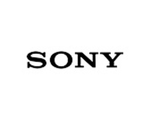 SONY STANDARD INTERACTIVE STYLUS PEN (PEN-LE) (Espera 4 dias)