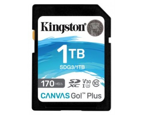 Kingston Technology Canvas Go! Plus 1 TB SD UHS-I Clase 10 (Espera 4 dias)