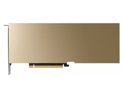 PNY L40S NVIDIA 48 GB GDDR6 (Espera 4 dias)