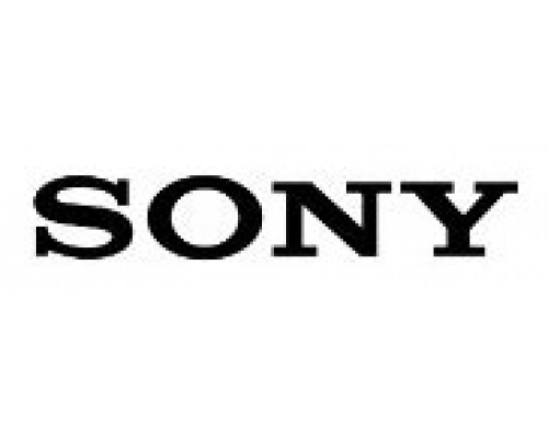 SONY 2 HRS REMOTE TRAINING RESOURCE.  CONTENT TO BE AGREED IN ADVANCE. (TRN.TEOS.REMOTE.2) (Espera 4 dias)